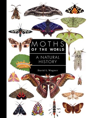 cover image of Moths of the World